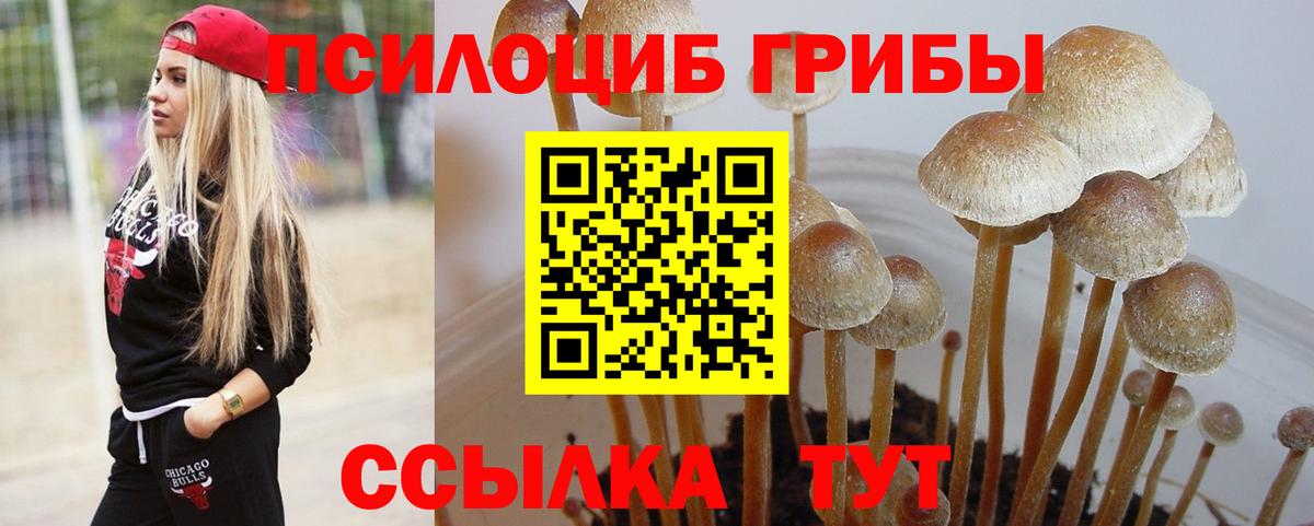 Галлюциногенные грибы прущие грибы  Вход с VPN  Усть-Лабинск  Галлюциногенные грибы Magic Shrooms 