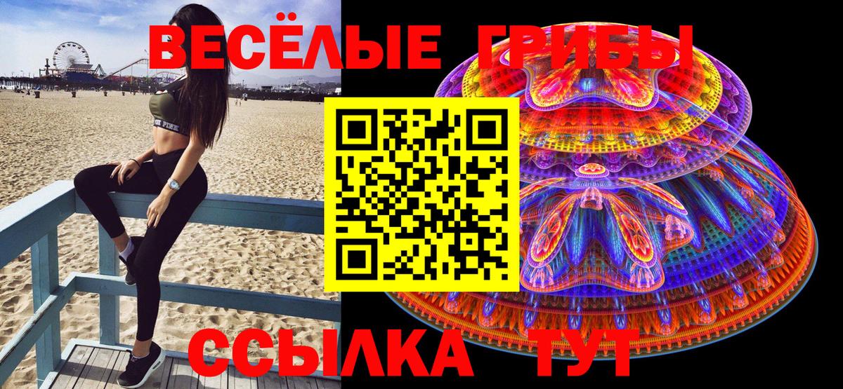 Псилоцибиновые грибы Cubensis Усть-Лабинск